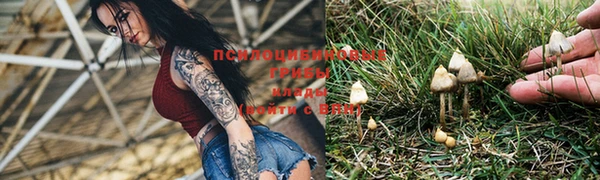 марки nbome Алзамай