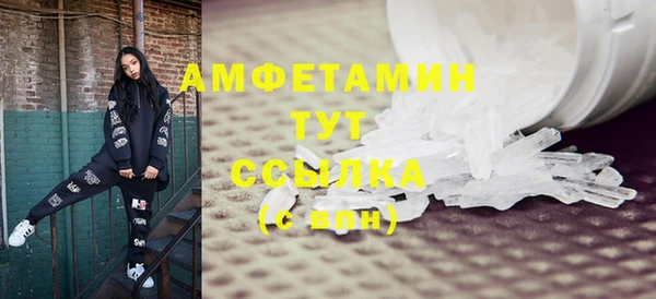СК Алексин