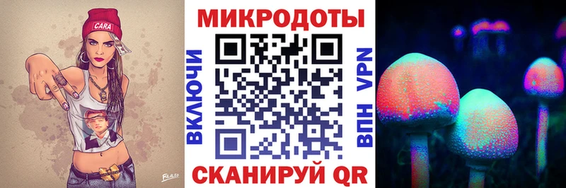 Купить  Темрюк  Галлюциногенные грибы прущие грибы 